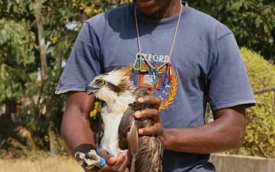 Can you help us support Dembo?