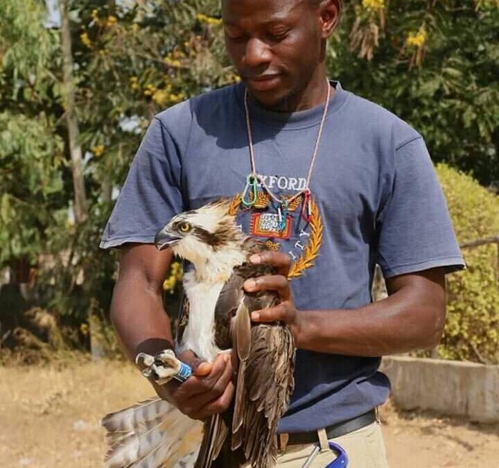Can you help us support Dembo?