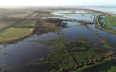 Wild Ken Hill: A vision for the future