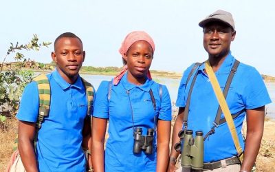 News from The Gambia