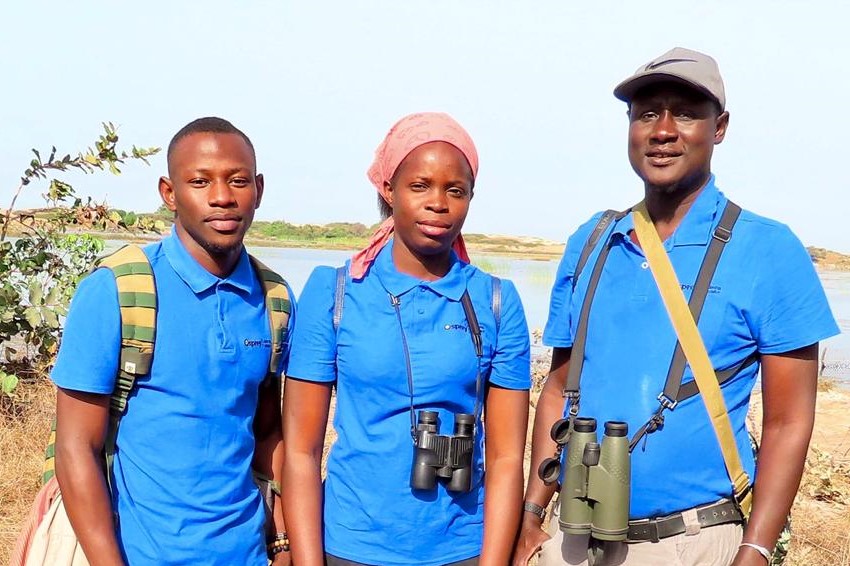 News from The Gambia