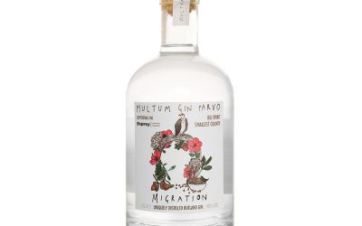 Migration Gin